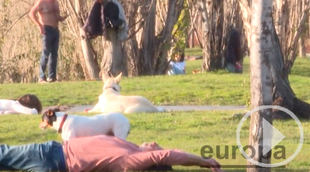 Enero récord de calor mundial, 1,66 grados sobre nivel preindustrial