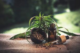 Beneficios del CBD y aplicaciones generales