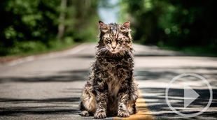 Cine de terror con S. King y su "Cementerio de animales"