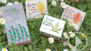 “Las cerillas que salvan bosques” en el Día Mundial de Lucha contra la Desertificación