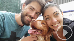 Adoptan a "Chico" rescatado por El Refugio tras la muerte de su dueño por Covid-19