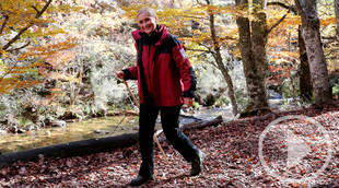 Cristina Cifuentes nos invita a pasear por el Hayedo de Montejo