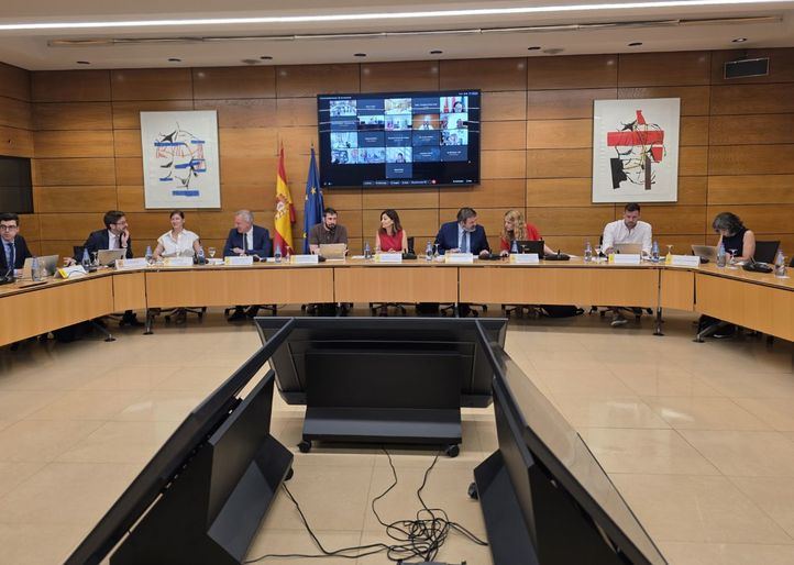 Conferencia Sectorial de Infancia