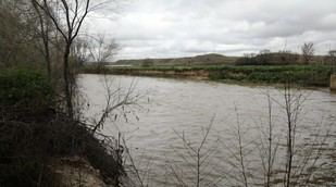 Intensifican esfuerzos para controlar mosquitos y prevenir picaduras en Getafe