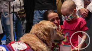 El Hospital 12 de Octubre inicia una terapia asistida con perros