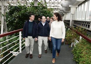 Madrid Río y el parque lineal del Manzanares tendrán 270 nuevos árboles y más de 10.000 arbustos