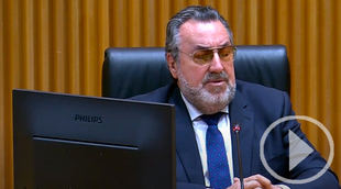 El Cuponazo de la ONCE del 1 de marzo estará dedicado a la reforma del artículo 49