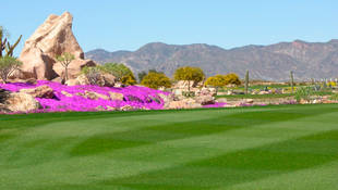 Desert Springs, el mayor campo de golf desértico de Europa