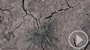 Este 22 de abril se conmemora el Día Internacional de La Tierra