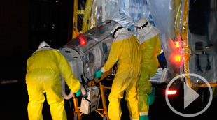 Los supervivientes de ébola, la esperanza para una vacuna