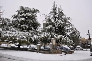 Moralzarzal ofrece sal gratuita a vecinos para prevenir heladas invernales