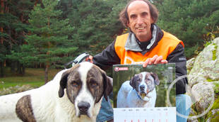 El calendario solidario de El Refugio anima a adoptar perros mayores