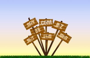 ¿Cómo elegir el mejor dominio para mi sitio web?