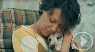 El Refugio activa un plan para acoger perros de afectados por el Covid 19