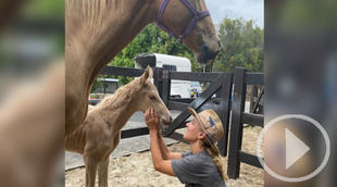 Elsa Pataky ayuda a nacer a un potro