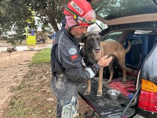 El servicio del Ericam desplegado en Valencia tras las riadas, pregonero de San Antón