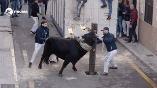 La Comunidad desmiente que vaya a permitirse el toro embolado