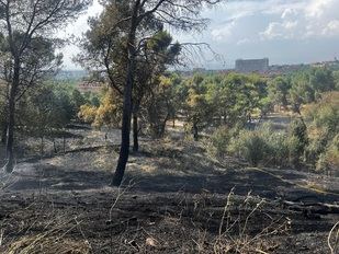 Un incendio arrasa 2,5 hectáreas de pasto junto al Hospital Clínico San Carlos