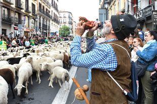 Un millar de ovejas y cabras toman la capital en la Fiesta de la Trashumancia
