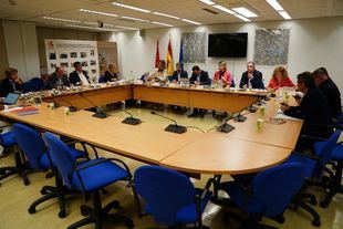 PP y PSOE, enfrentados también en la Federación de Municipios de Madrid