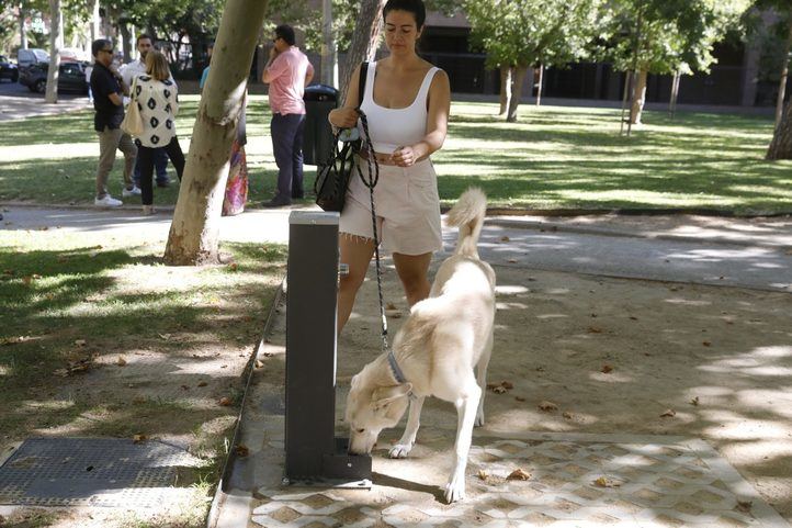 Nueva fuente de agua potable mixta, para personas y mascotas