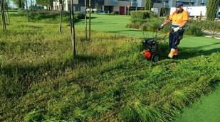 Getafe impulsa un Plan Verde en Los Molinos con 500 nuevos árboles
