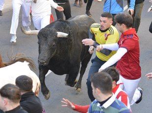 Un herido por asta de toro en el último 'encierro blanco' de San Sebastián de los Reyes