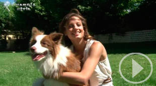 La Guardia Civil presenta una campaña contra el maltrato y abandono de animales domésticos bajo el título #YoSiPuedoContarlo