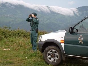 Imagen de archivo del Seprona