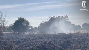 Extinguido un incendio de pasto en Carabanchel con seis heridos leves