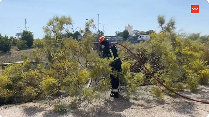 Incendio en la cuneta de la M-50