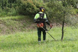 El Grupo Integra CEE crea más de 313 puestos de trabajo para personas con diversidad funcional