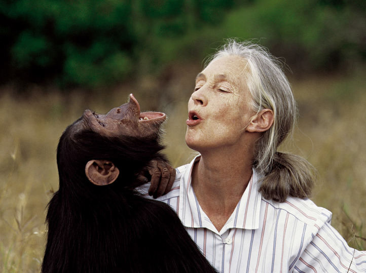 Jane Goodall