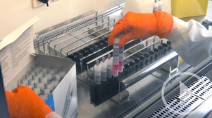 La vacuna de Janssen inicia la fase III en España