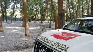 Agentes forestales inspeccionarán más de 100 zonas en Madrid ante el riesgo de incendios