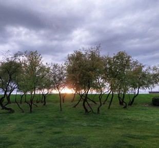 Abre el concurso fotográfico "Parla, mi ciudad" para vecinos y vecinas