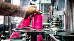 Los fermentados alcohólicos de frutas