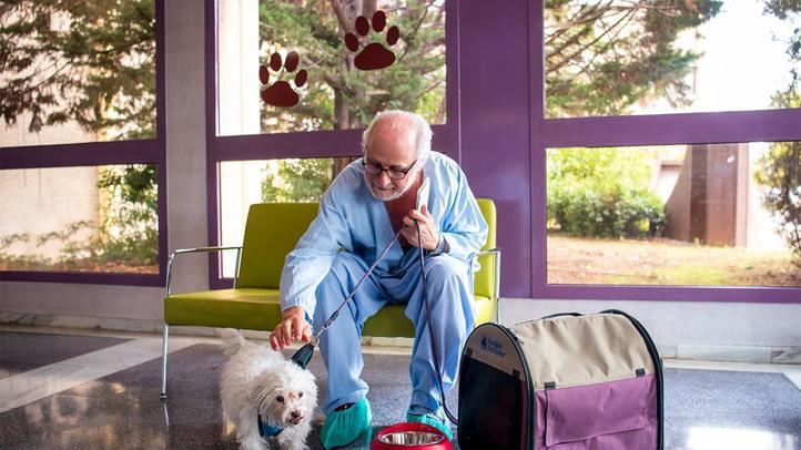 Paciente del Hospital de Getafe con su perro
