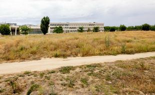 Parcela donde se pretende ubicar el cantón de Montecarmelo