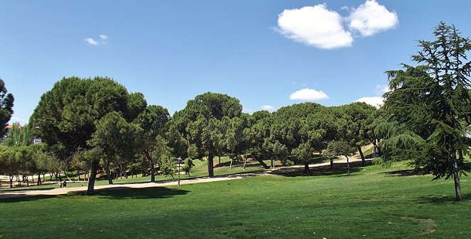 Parque de San Isidro