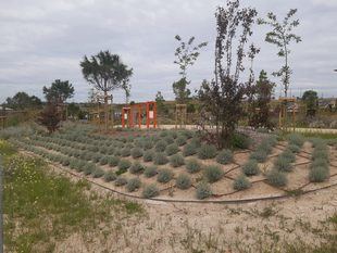 Nuevo parque en Arroyo del Fresno