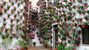 Si la primavera elige una ciudad sería Córdoba y un mes, Mayo