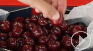 Los madrileños degustan la Picota del Jerte gratis