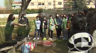 Naturalizar los centros educativos