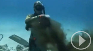 Un pulpo intenta estrangular a un buceador