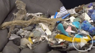 ¿Es seguro para la salud beber el agua en botellas de plástico?