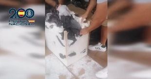 Desarticulada una que enviaba marihuana a Alemania a través de paqueterías