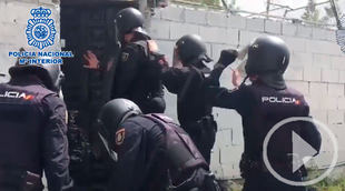 La policía desmantela tres plantaciones de marihuana en la Cañada Real