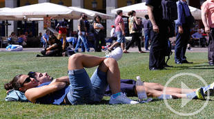 Una pradera de 3500 metros cuadrados en la Plaza Mayor
