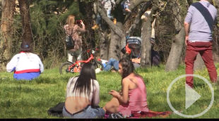 Las mascarillas reducen los síntomas de las alergias